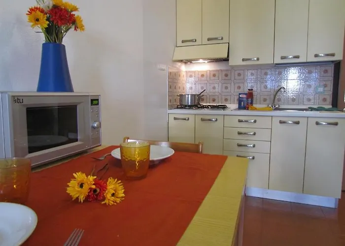 Biloba * بيبيوني